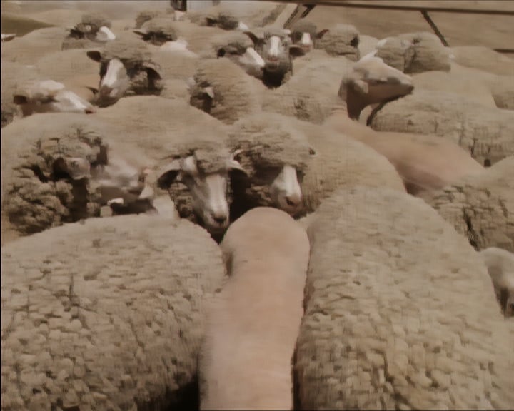 Junho no Alto Alentejo – Parte II