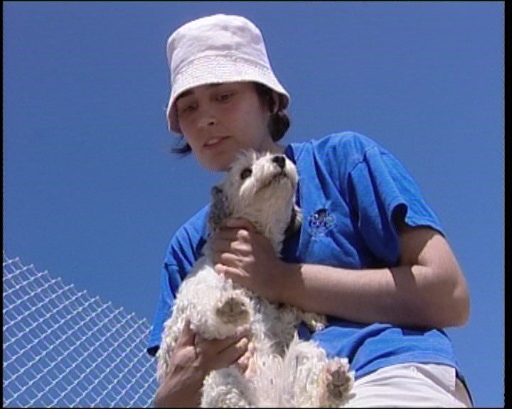 Novo canil em Vimioso