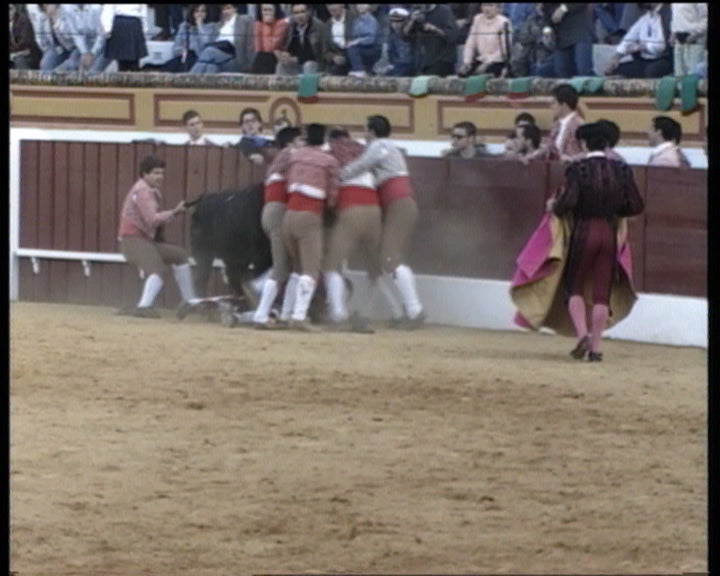 Tauromaquia