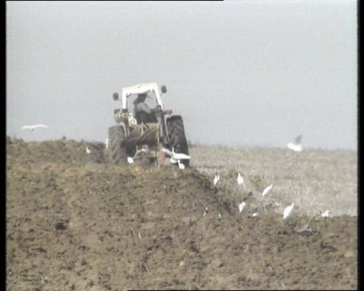 Reflexos da PAC na agricultura portuguesa