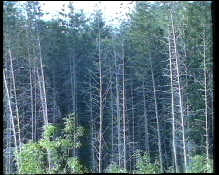 Congresso Nacional das indústrias de madeira