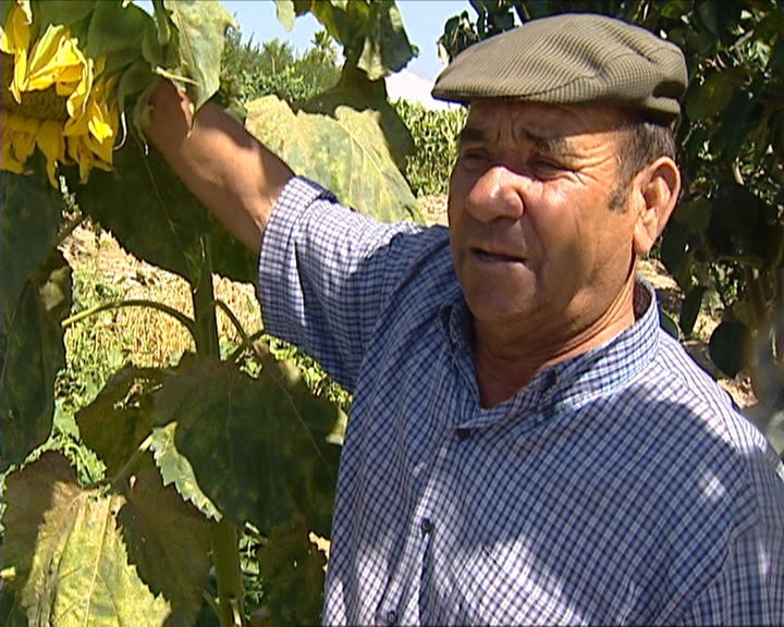 Horta agrícola em Paço dos Negros