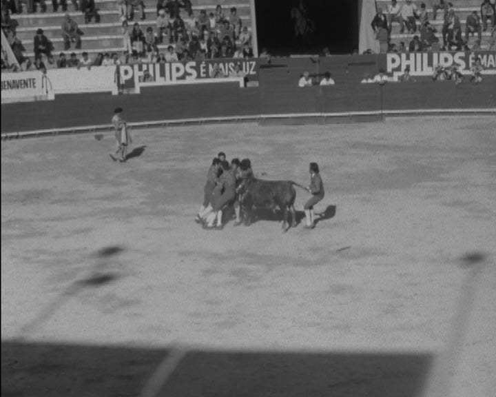 X Feira Nacional da Agricultura em Santarém