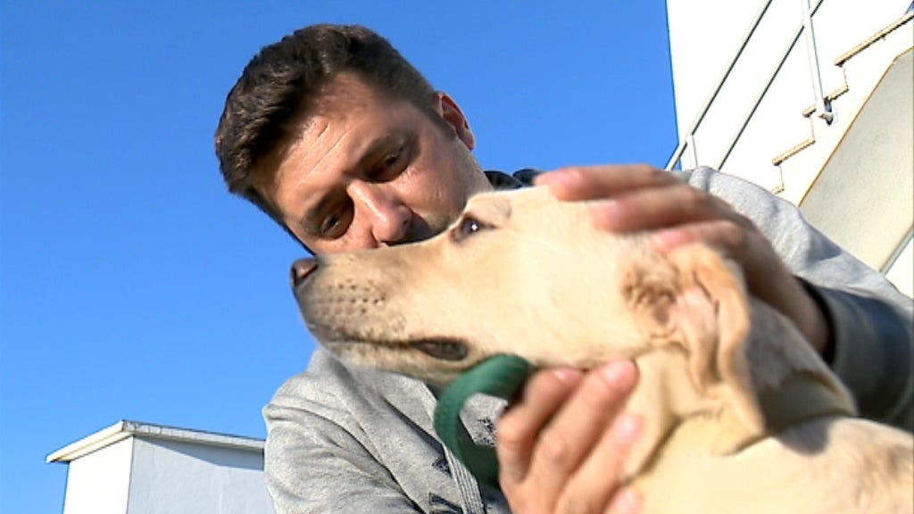 Canil Gatil na Guarda