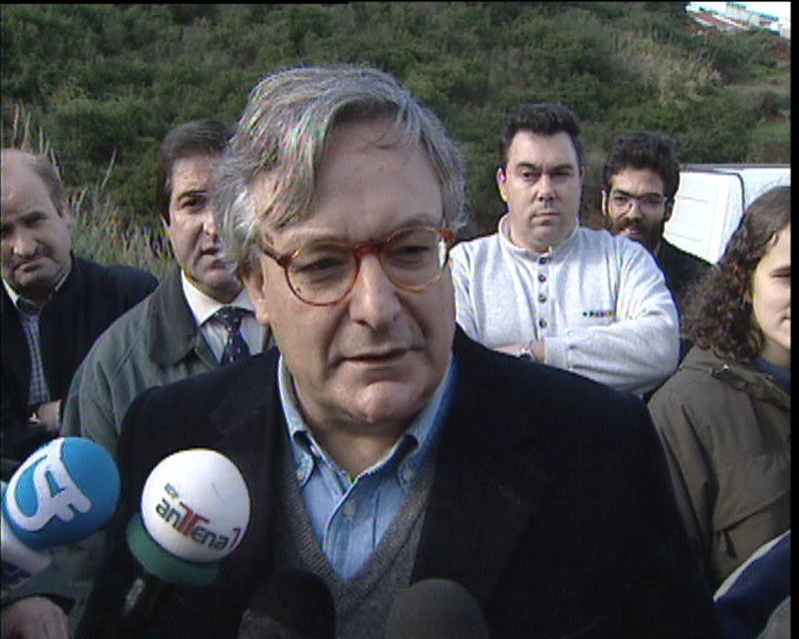 Reacções às declarações de Edite Estrela