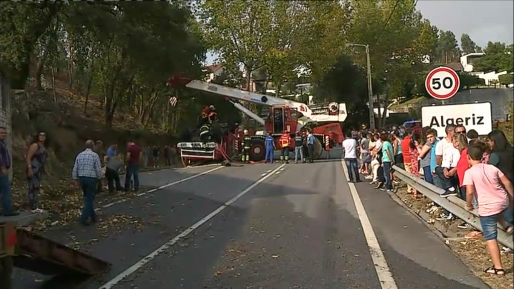 Incêndio florestal no concelho de Vale de Cambra