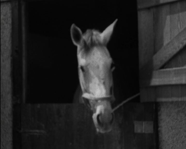 57º Concurso Hípico Internacional Oficial de Lisboa