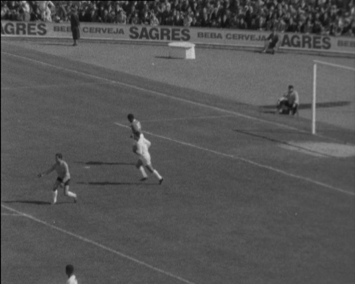 Futebol: Benfica vs Farense