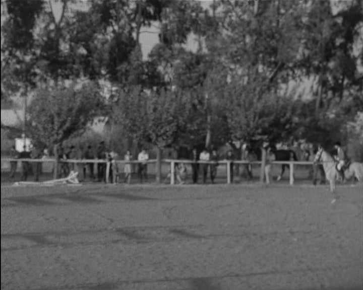 Concurso Hípico em Évora