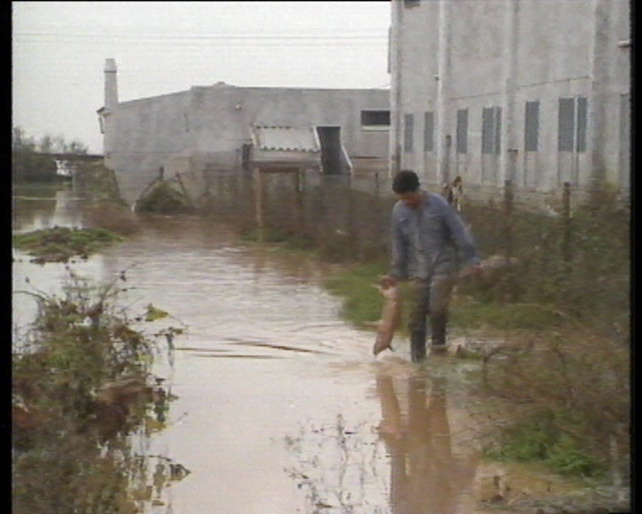 Temporal assola a região do Algarve