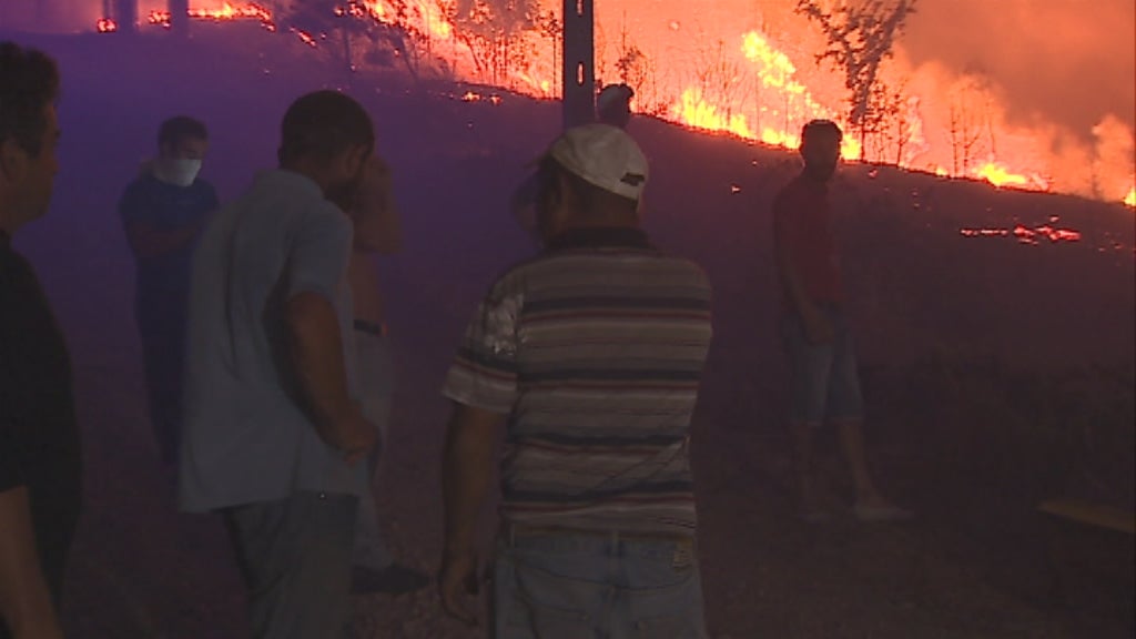 Incêndio florestal em Abrantes