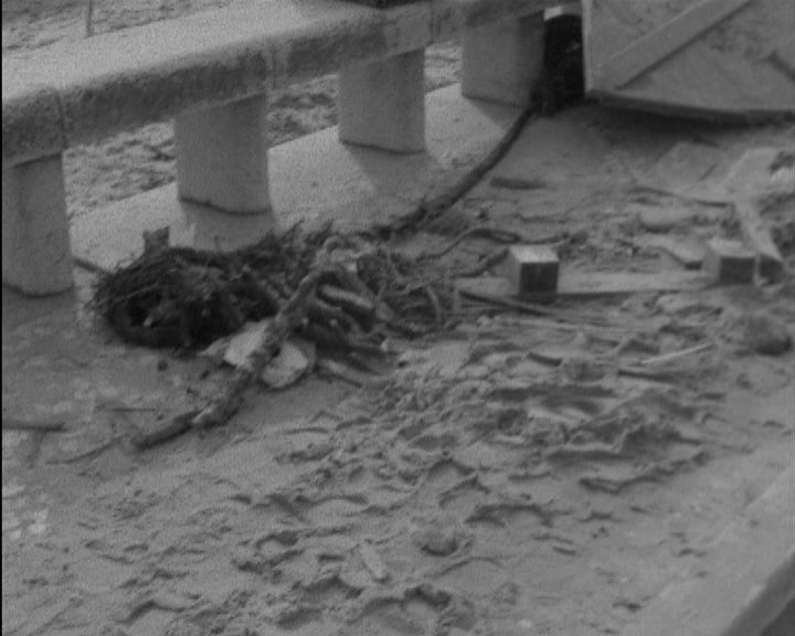 Remoção de destroços na Marginal