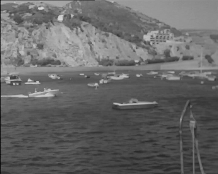 Apanha de algas e ostras no Rio Sado