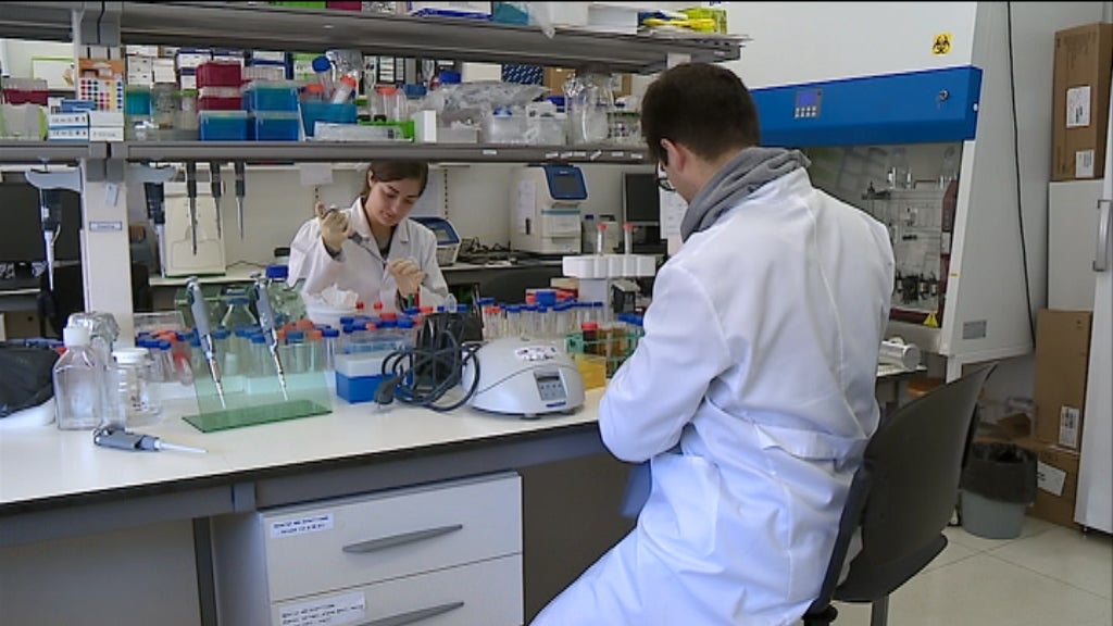 Universidade de Coimbra estuda envelhecimento cardiovascular