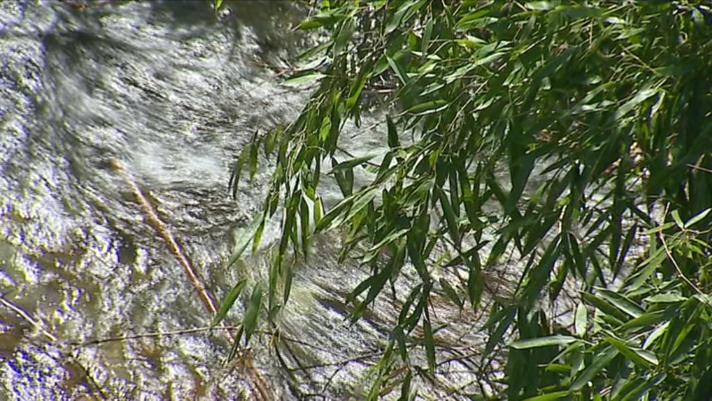 EDP exige reembolso do investimento na Barragem de Fridão