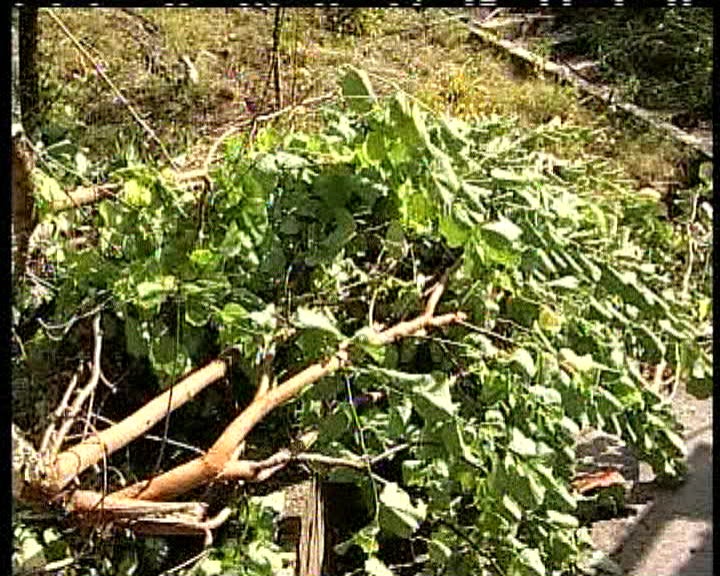 Tornados em Portugal