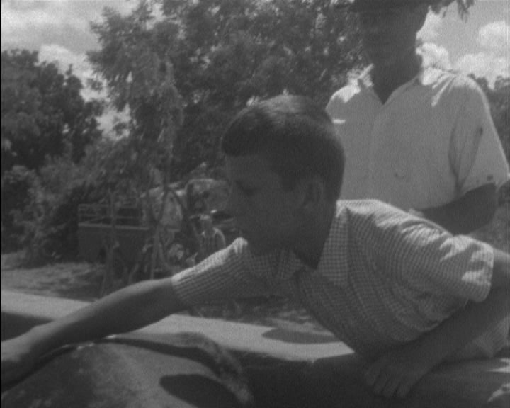 Entrega de gado bovino e inauguração de escola primária