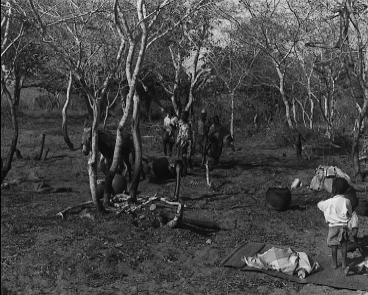 Acção de povoamento em Manjacaze