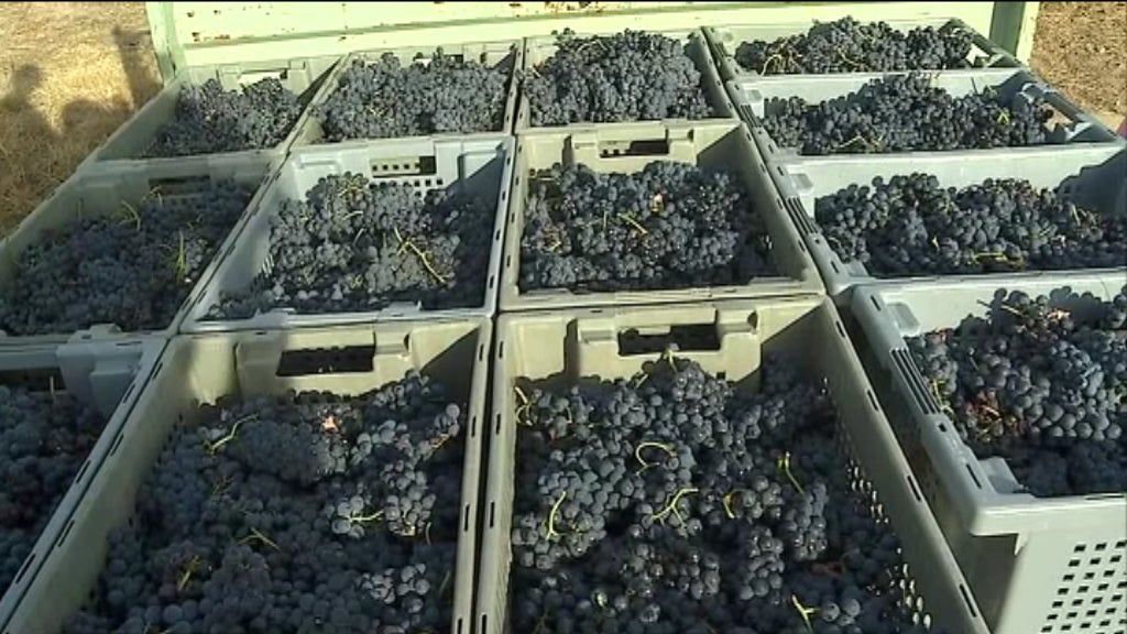 Assunção Cristas crítica Governo