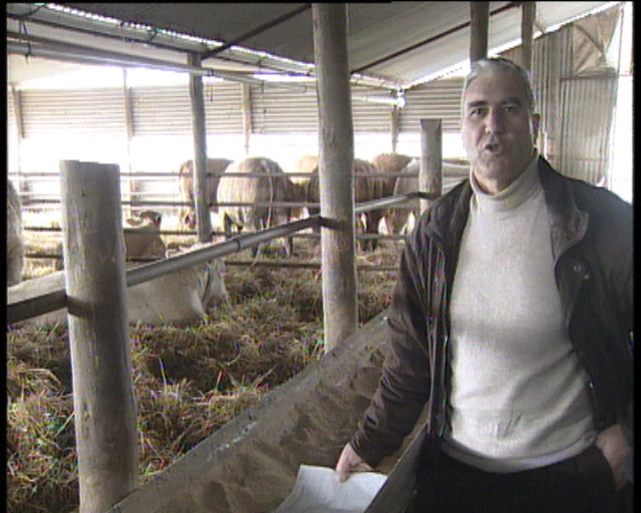 Rotulagem da carne bovina