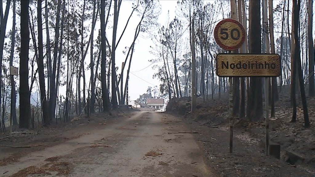 ICNF chumba plano de defesa da floresta contra incêndios