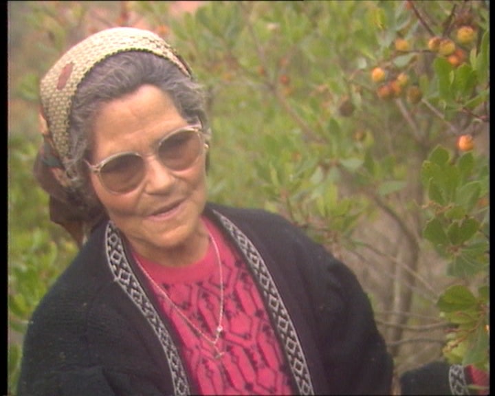 Vila do Bispo – Parte II