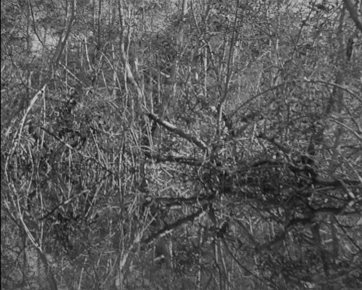 Patrulhamento em Angola