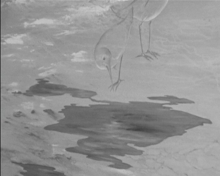 Inauguração da exposição de Margareth Cornelius em Lisboa