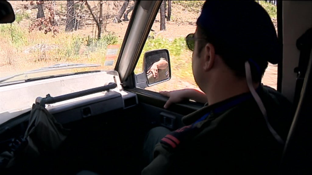 Militares vigiam a floresta