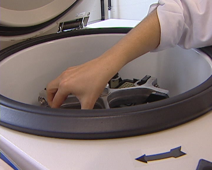 Campanha contra a Leucemia