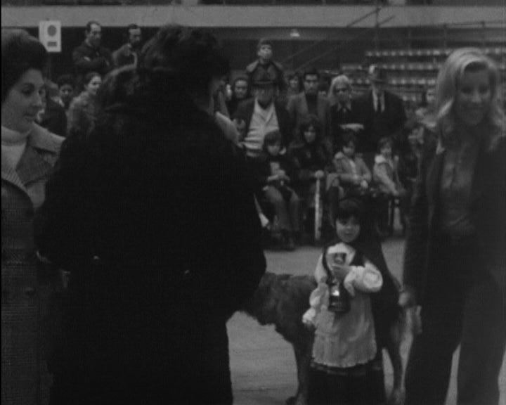 Exposição Canina Internacional do Porto