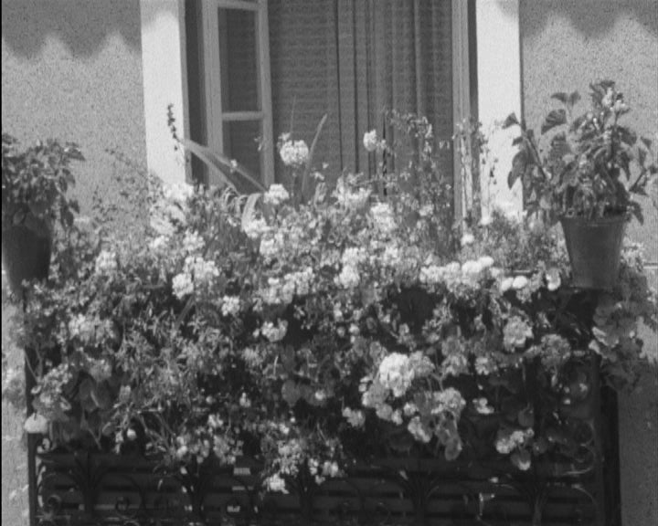 Concurso de janelas floridas