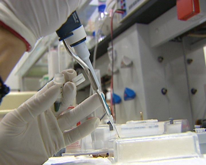 Cortes no hospital de São João