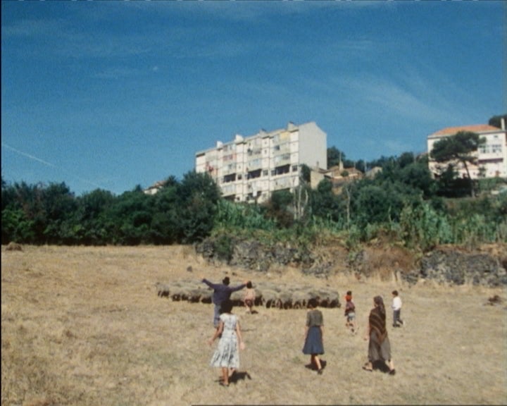 A MALA de CARTÃO – Episódio 2