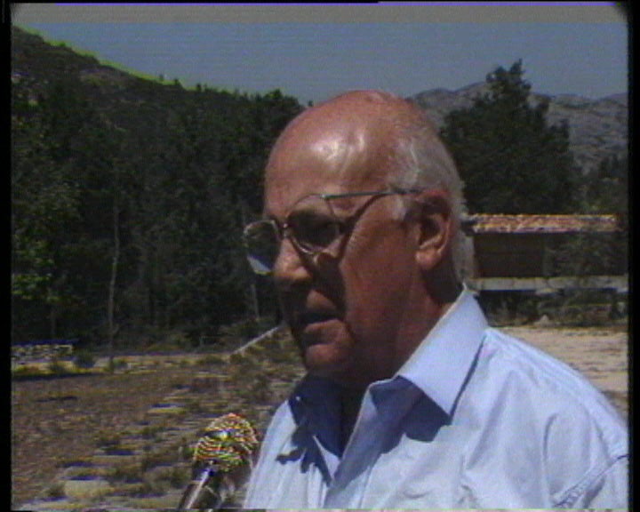 Declarações de Fernando Real