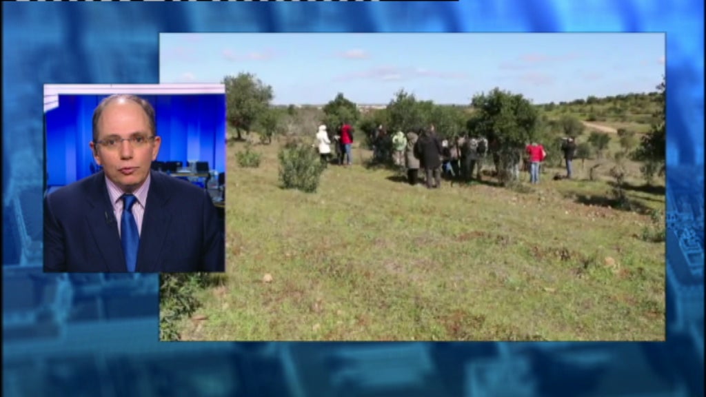 Entrevista a José António Falcão