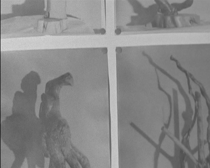 Exposição “A Arte pela Natureza”