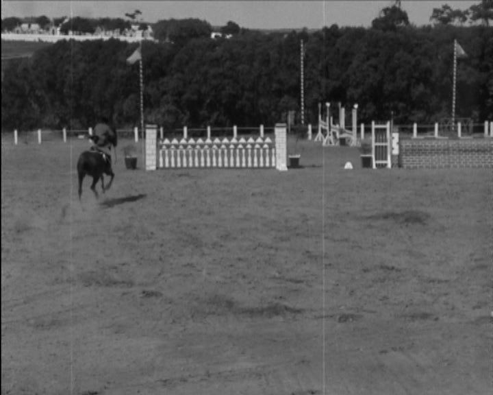 Hipismo: concurso de saltos de obstáculos