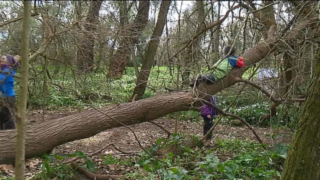 Projeto “Limites Invisíveis”