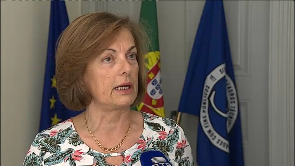 Entrevista a Helena Rodrigues