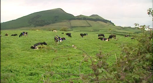 Negociações sobre Política Agrícola Comum