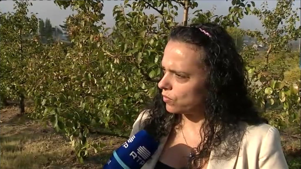 Projeto agrícola de combate a pragas