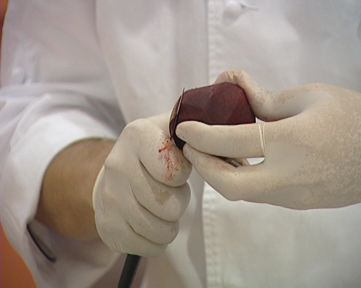 Feira Nacional da Agricultura