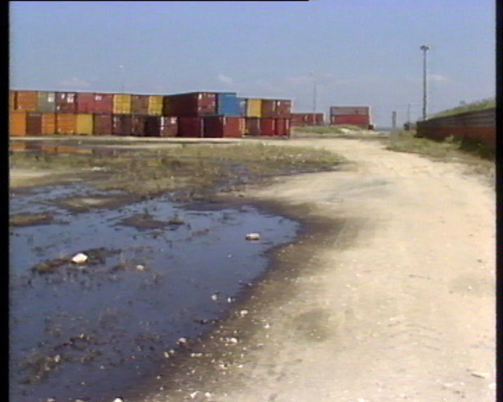 Apodrecimento de batatas no porto de Lisboa