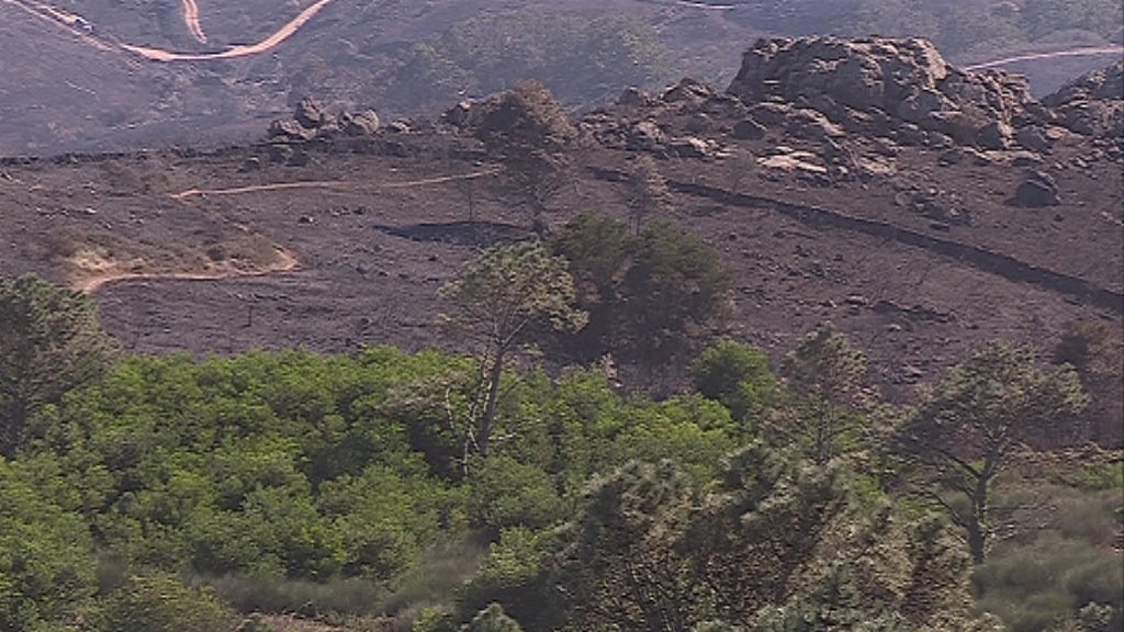 Rescaldo do incêndio no Parque Nacional de Sintra-Cascais