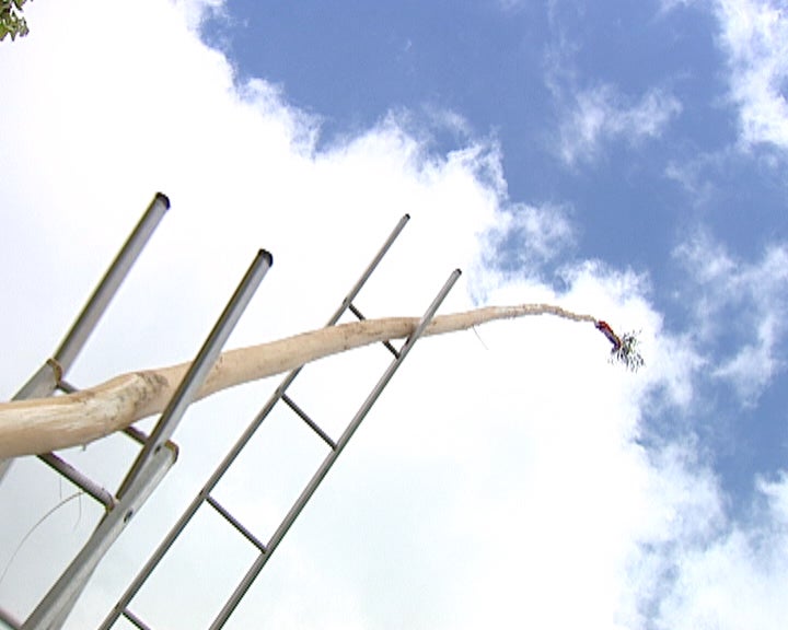 Tradições do 1º de Maio