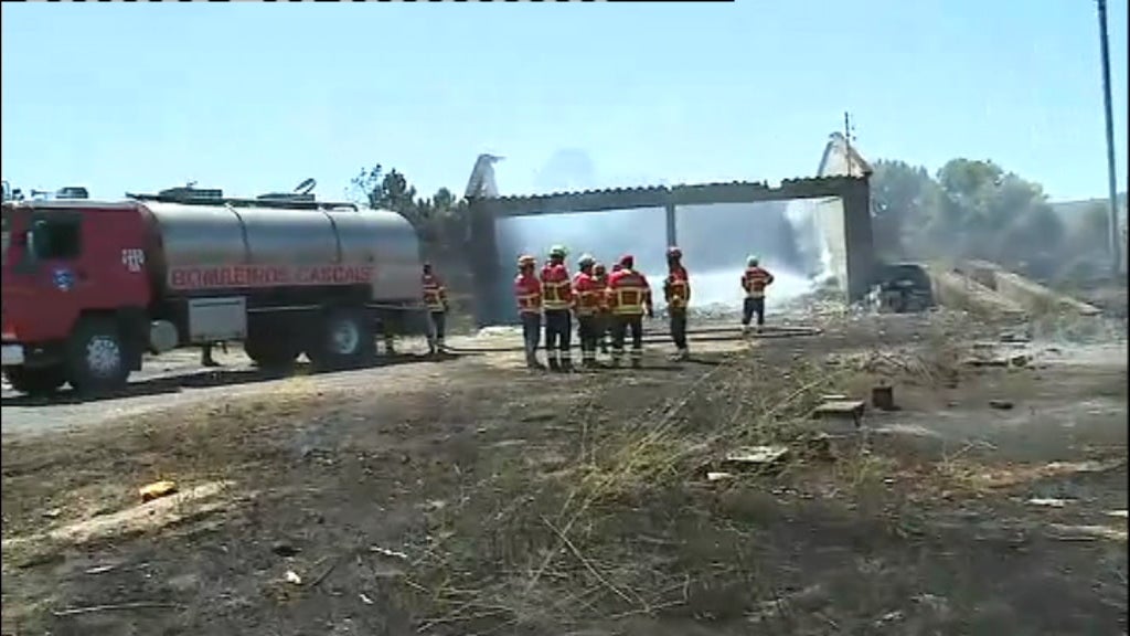 Incêndio florestal em Alijó