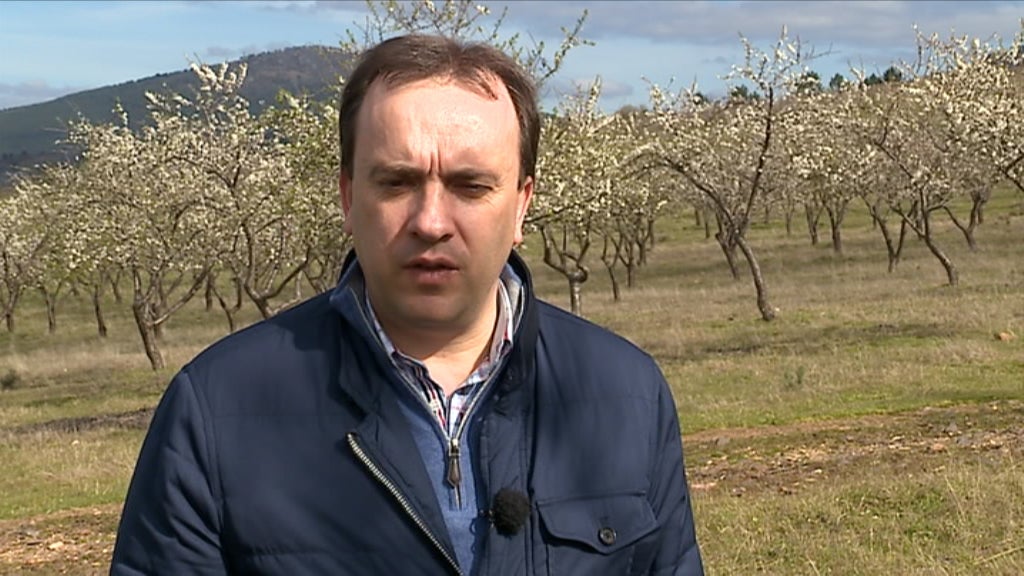 Produção de amêndoa afetada pelo mau tempo