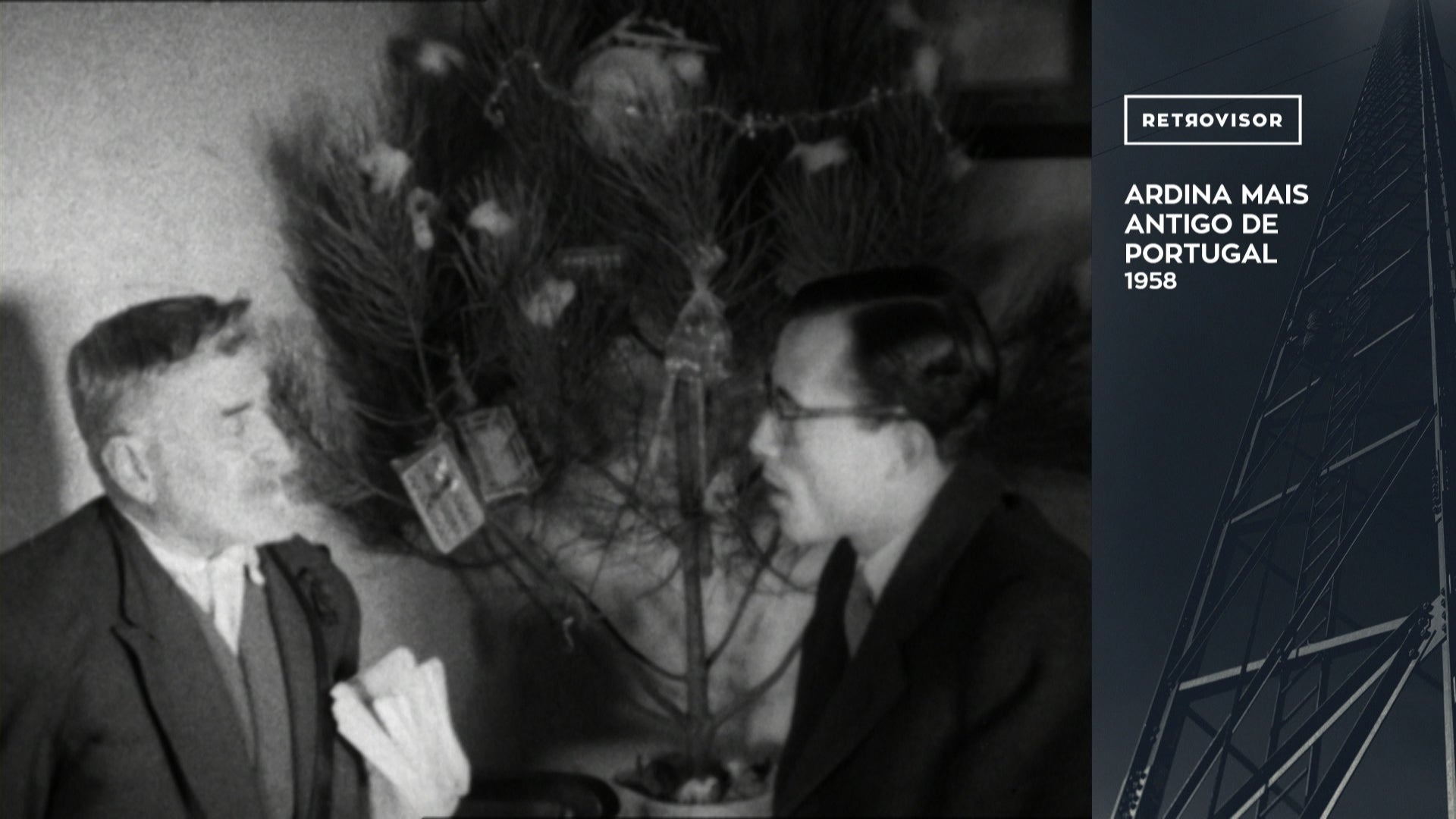 O Ardina Mais Antigo de Portugal