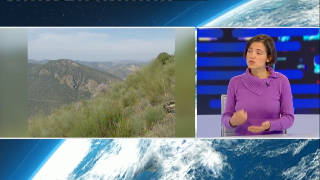 Entrevista a Susana Fonseca